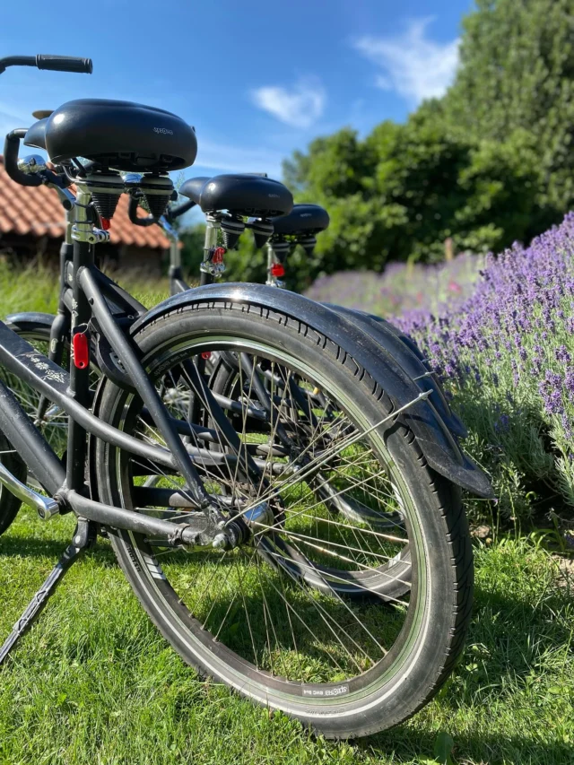 Unieke vergaderlocatie in Brabant Wooijse Hof in Herpen foto 7